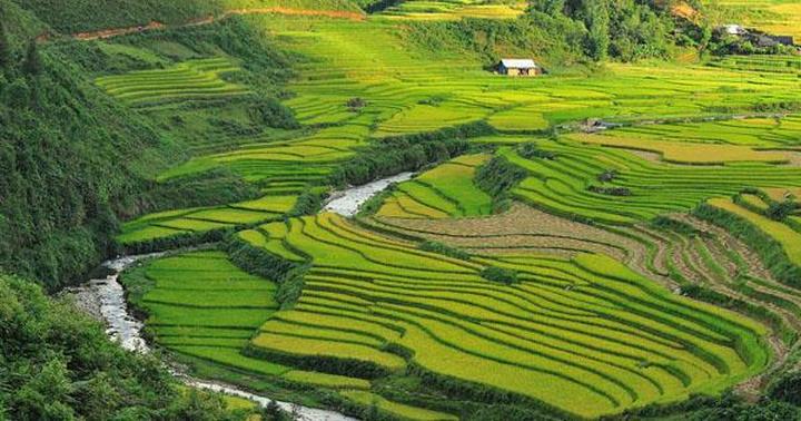 Cách Khởi Nghiệp Kiếm Tiền Bán Thời Gian Dành Cho Người Mới_chiến lược hiệu quả tiếp thị video