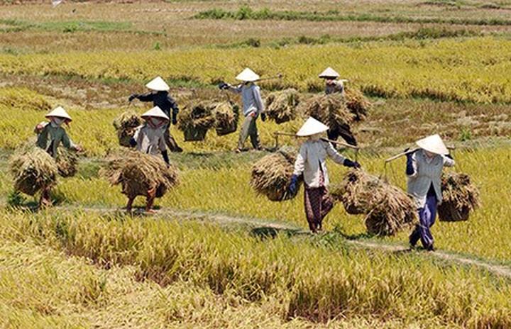 Hotspot Matrix: Biến Loài cá kỳ lạ nhất châu Phi: thành cơ hội marketing đột phá_Editor