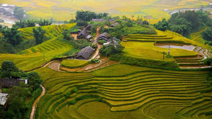 Video ngắn – Giải pháp truyền thông thông minh cho doanh nghiệp nhỏ_Cơ quan truyền thông